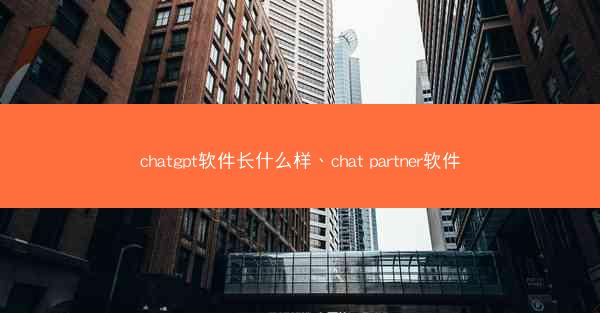 chatgpt软件长什么样、chat partner软件