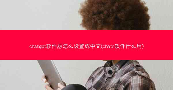 chatgpt软件版怎么设置成中文(chats软件什么用)